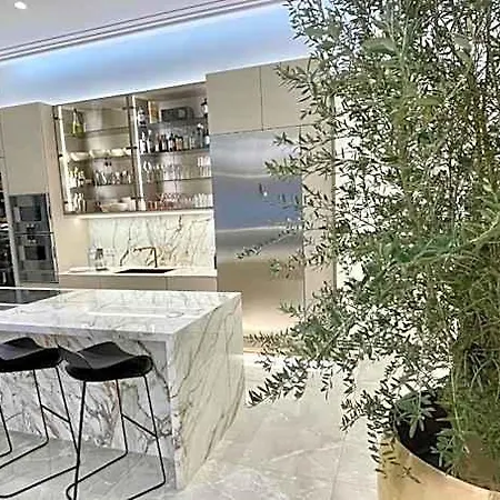 Luxury Penthouse In Downtown