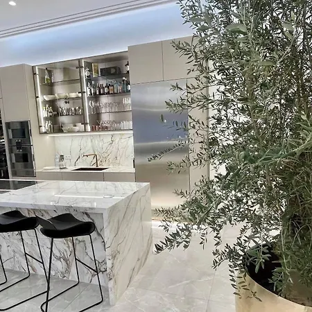 Luxury Penthouse In Downtown *
