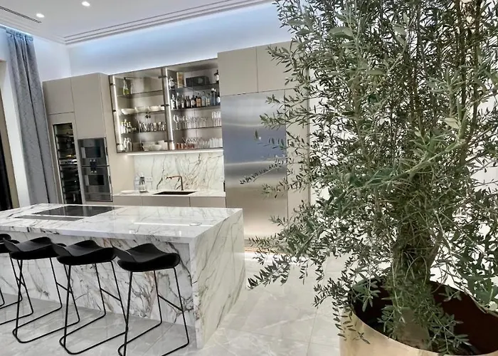 公寓 Luxury Penthouse In Downtown 布达佩斯